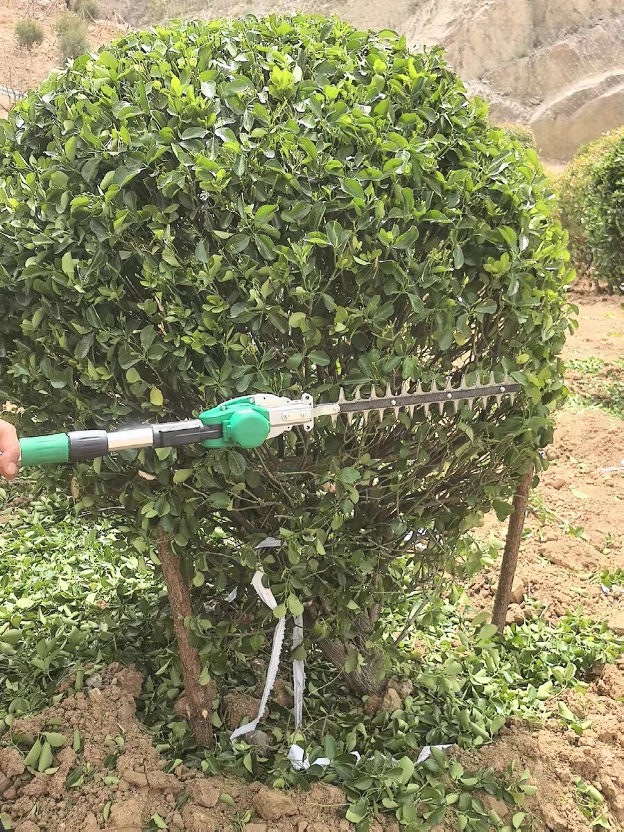 球型植物修剪 球型植物修剪