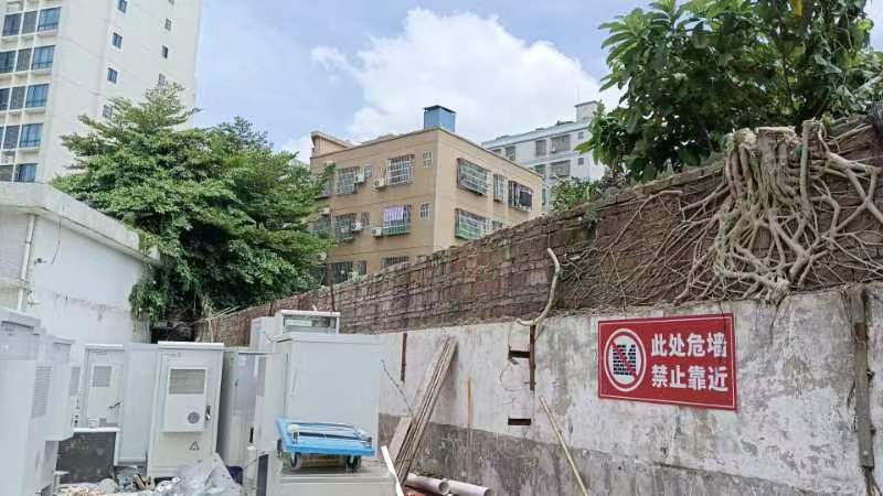 被榕树根系侵蚀的危墙 被榕树根系侵蚀的危墙