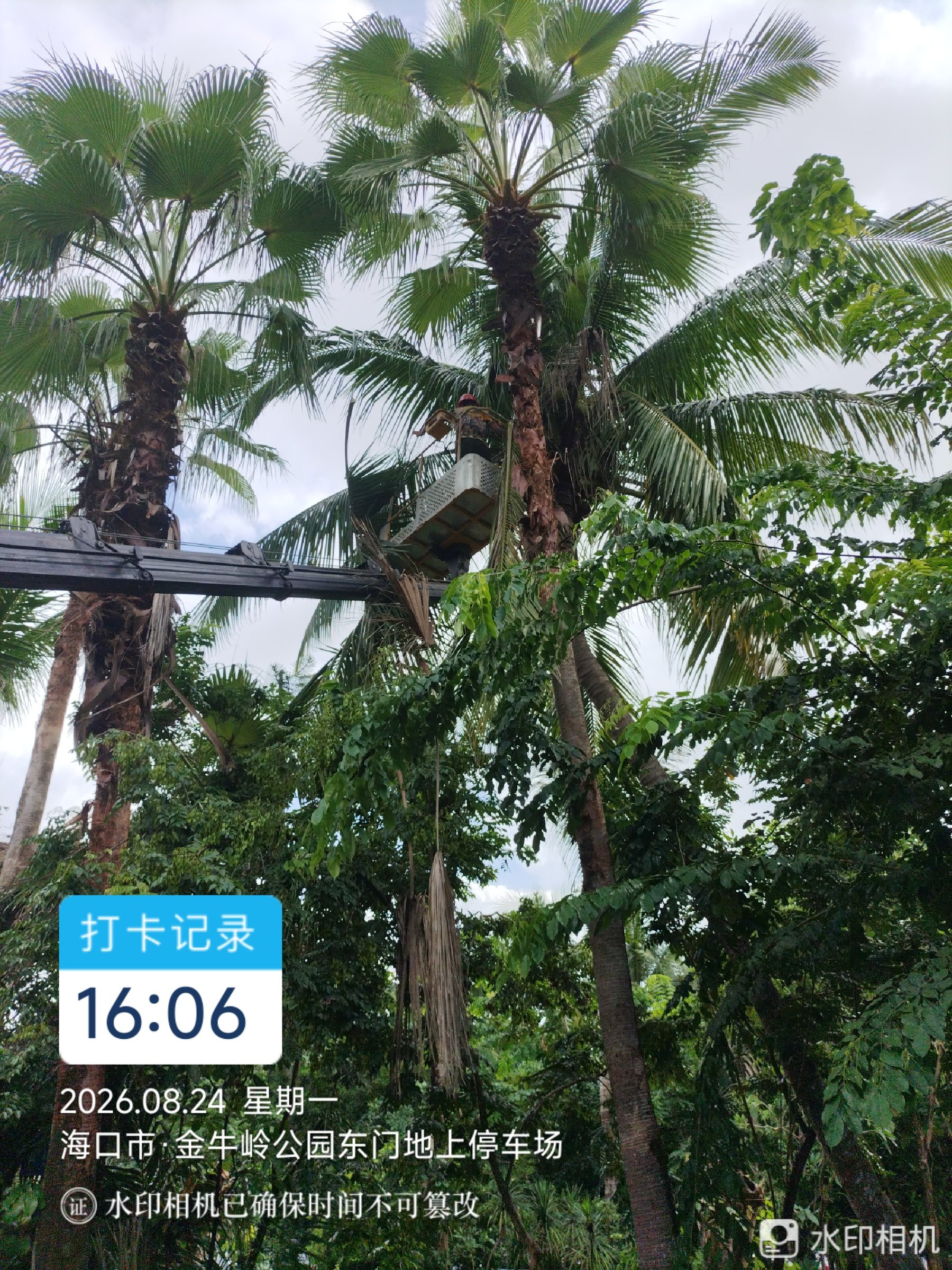 微信图片_20260827070956_86_17.jpg